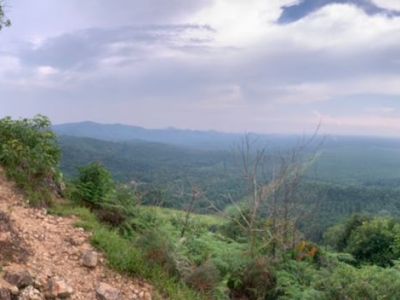 Bukit Cherakah, Puncak&nbsp;Alam